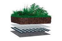 sch&eacute;ma du syst&egrave;me de v&eacute;g&eacute;talisation syst&egrave;me semi-intensive avec g&eacute;otextile, drain de 40mm, feutre filtrant, entre 12 et 20 cm d'&eacute;paisseur de substrat, et v&eacute;g&eacute;taux vari&eacute;s : sedum, vivaces et gramin&eacute;es.